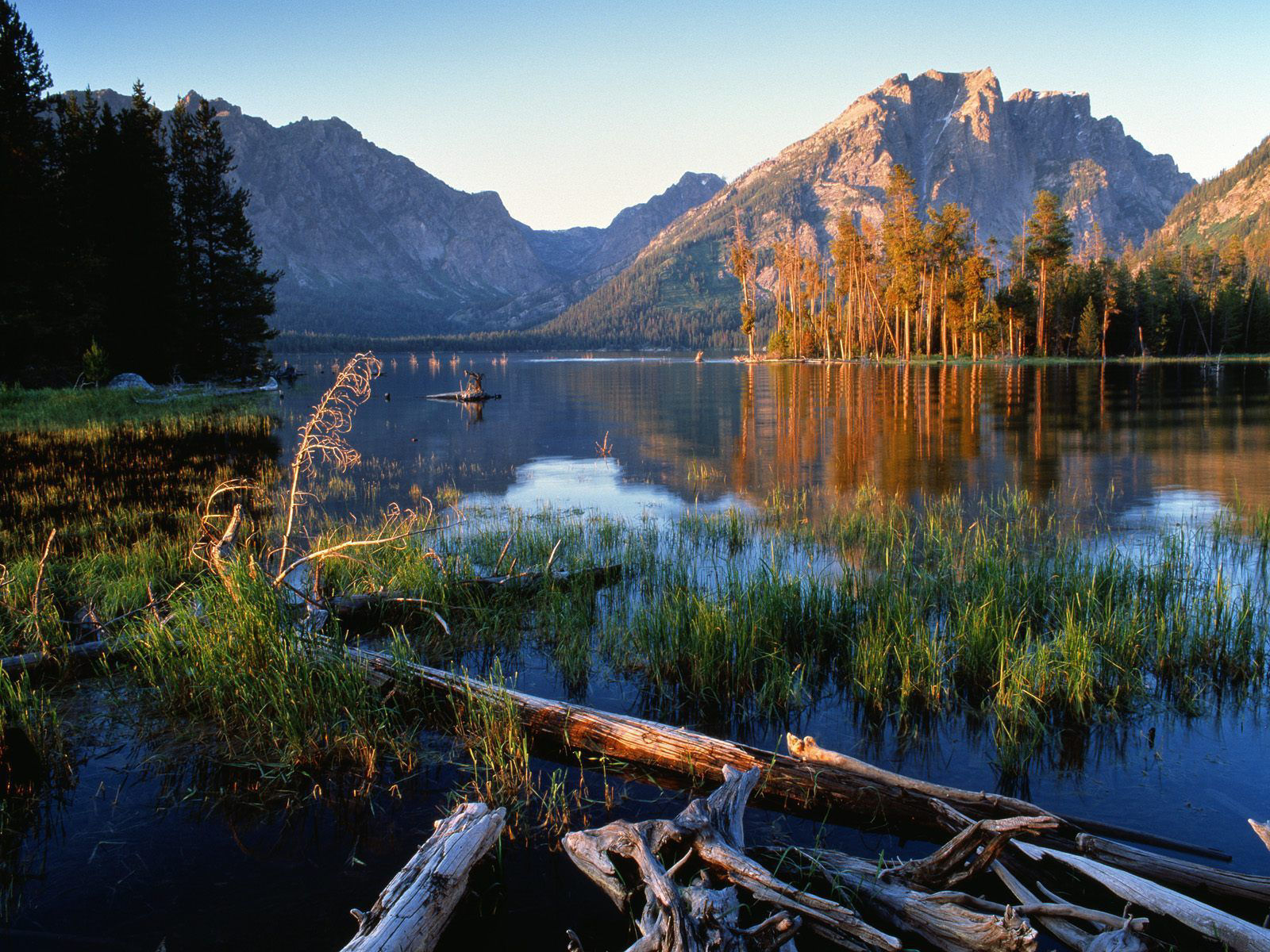 Nature (35).jpg